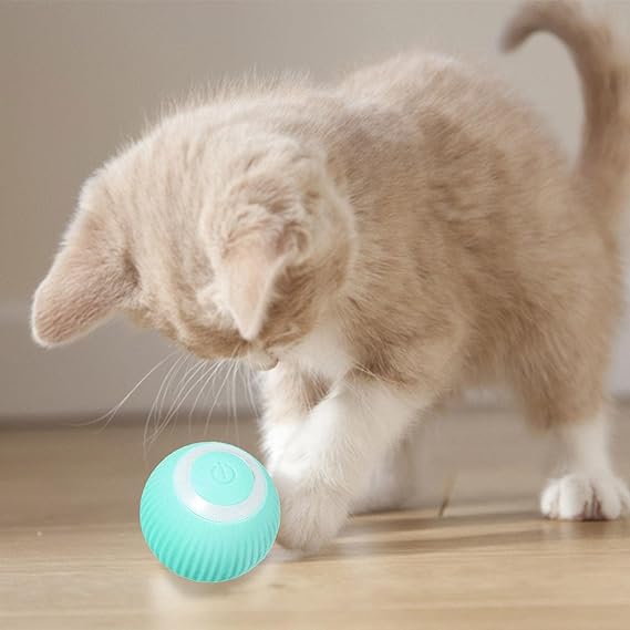 Bola inteligente para gato- 50% de descuento🔥