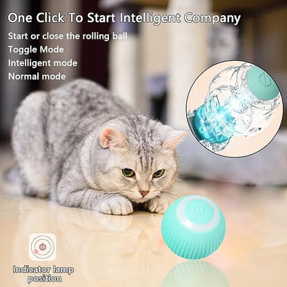 Bola inteligente para gato- 50% de descuento🔥