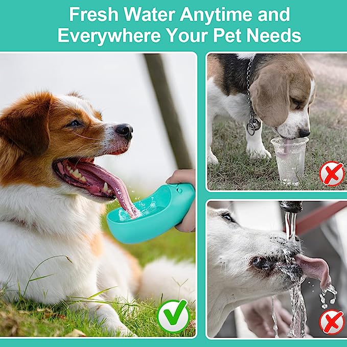 Botella de agua para perros