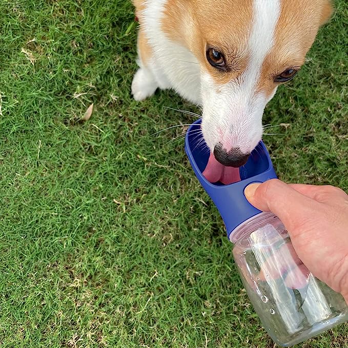 Botella de agua para perros