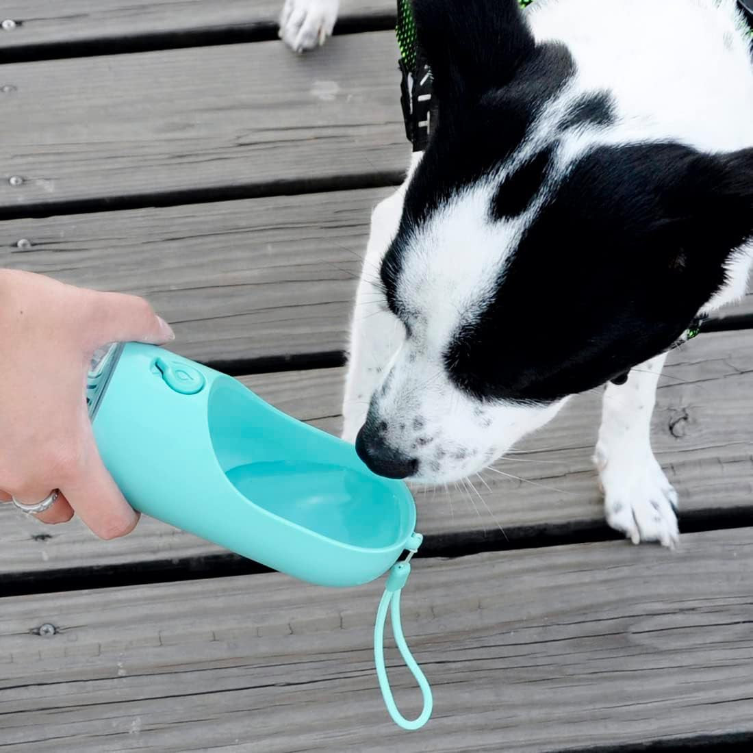 Botella de agua para perros