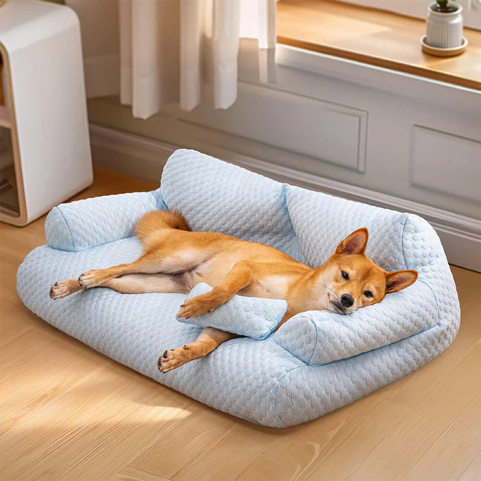 🛋️Confort sofa Dog 🐾- Sofa para mascotas calidad Premium 🐶