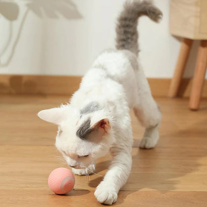 Bola inteligente para gato- 50% de descuento🔥